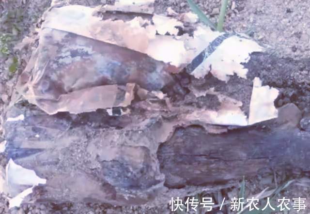 男子|海南岛一男子野钓发现意外收获,惊喜变成了惊吓,警察也到现场了