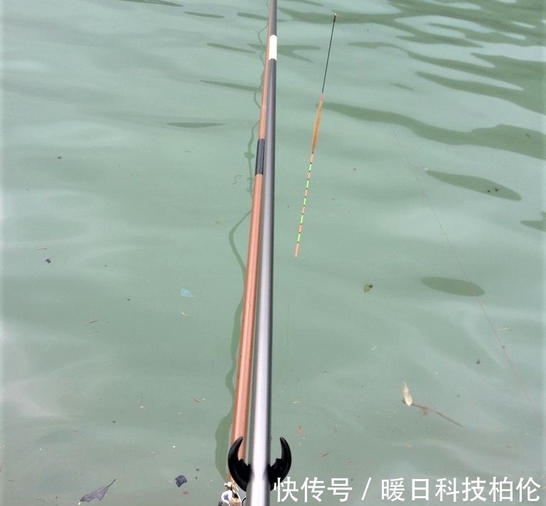 钓客|夏季用这两种饵料钓鱼，不但能钓大鱼，还可防止小杂鱼闹窝