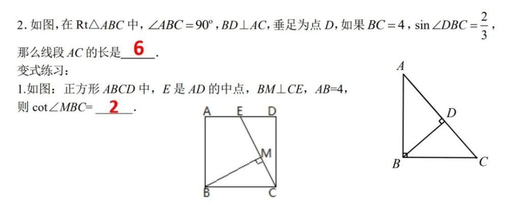 复习|锐角三角比基础复习（许嘉雯）