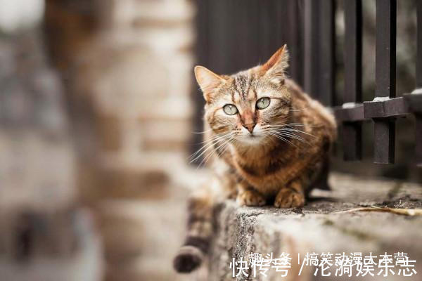 |搞笑幽默我老婆出差回来,喊道你怎么把别的女人带回家里来