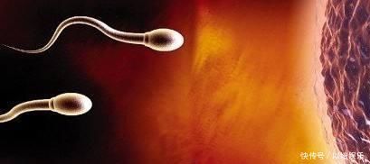 精子在女性体内存活多长时间无论是备孕还是避孕,都要了解清楚