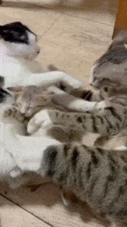 |搞笑 老实交代,你上一个女朋友是怎么甩的?