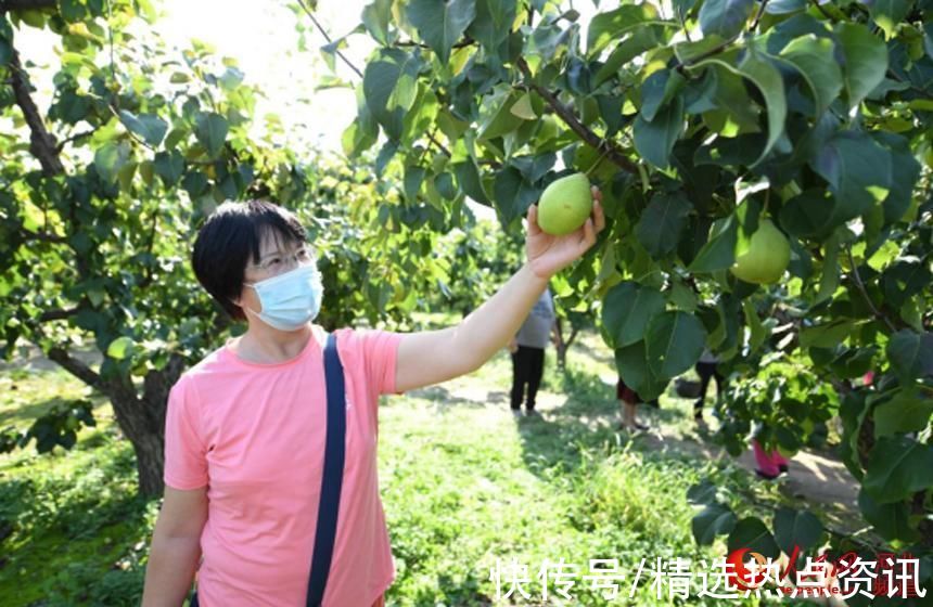 永清|河北永清：乡村旅游助力乡村振兴