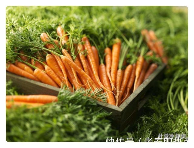 胡萝卜|每日冷知识——大姨妈也有好处！