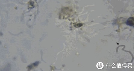 厨房|一见钟情的5种厨房用品,买时“心疼”,用后“真香”!建议备齐