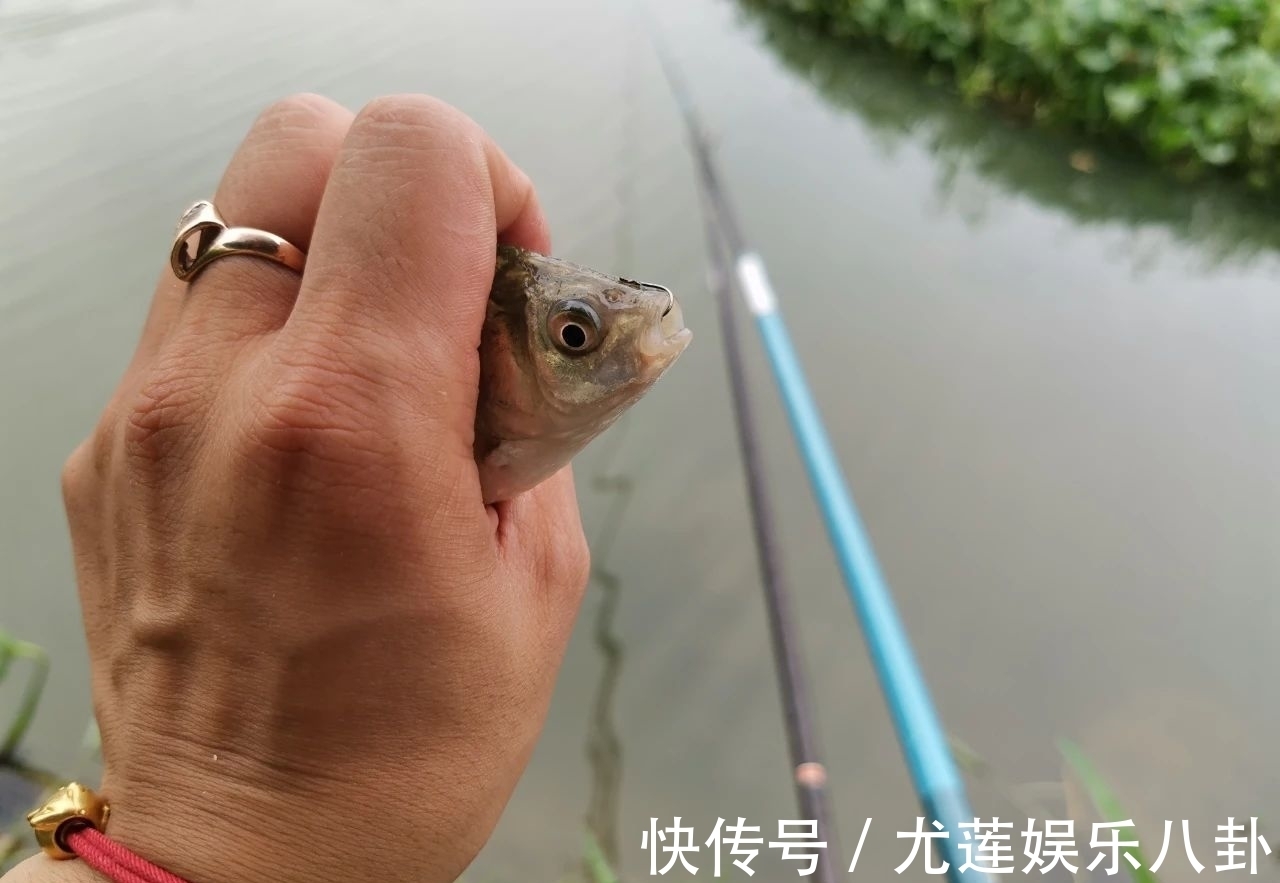 渔获|蚯蚓钓鱼,不可不知的6个技巧,能让你渔获翻2倍!