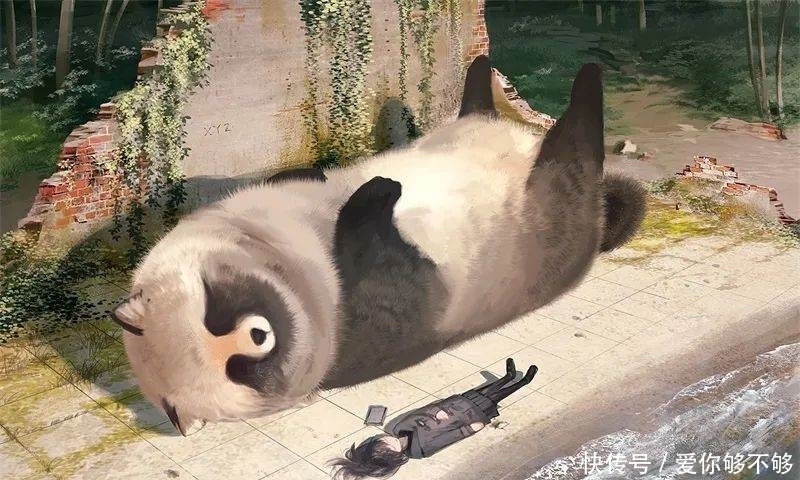 插画|三组各具特色的动物插画,看完很治愈~