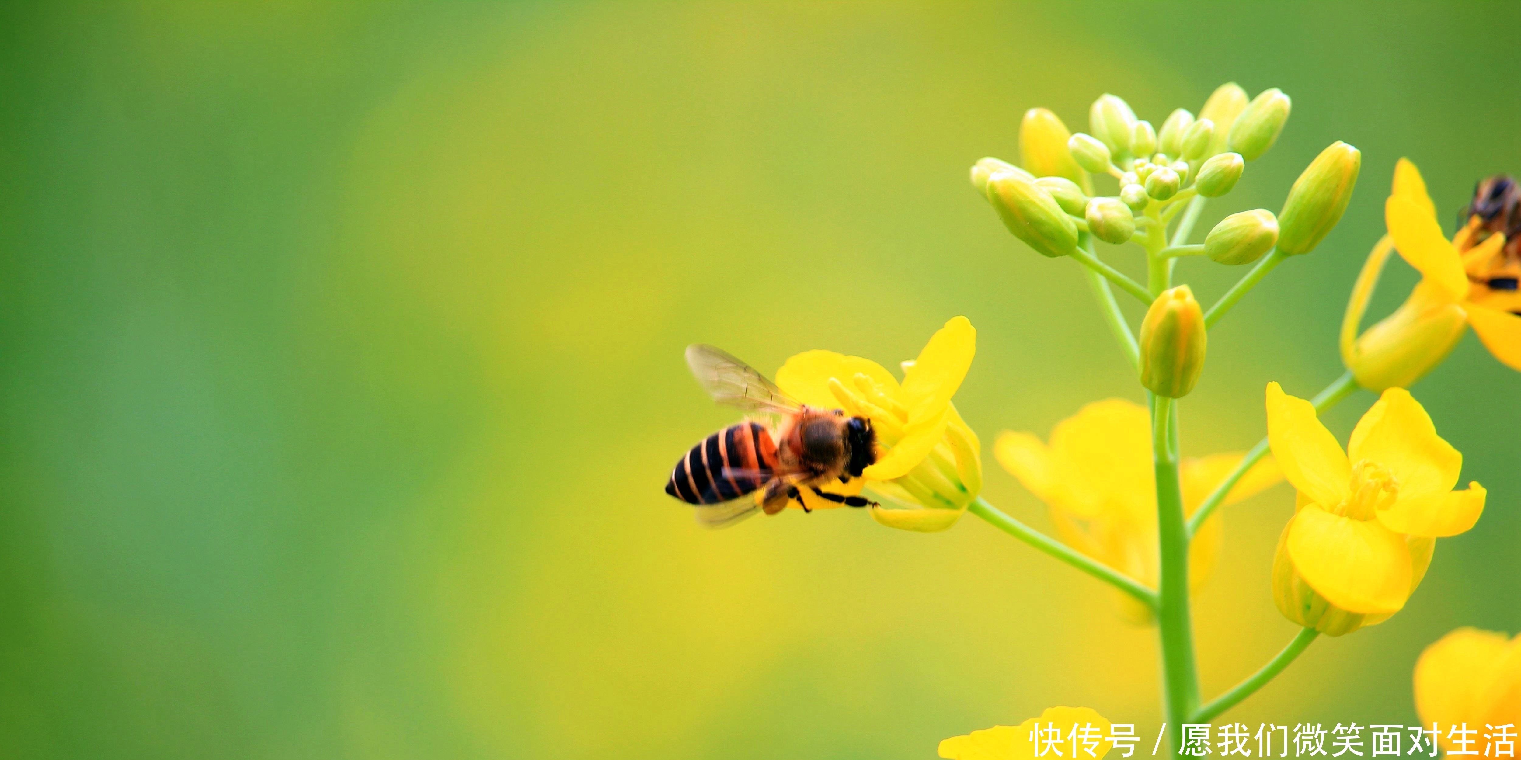  约束|「道德经」称：人有五欲，满足欲望的同时，要学会约束自己的行为