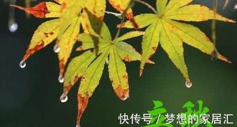 生产力|今日立秋，“公秋爽，母秋凶”，今年是“公秋”还是“母秋”？