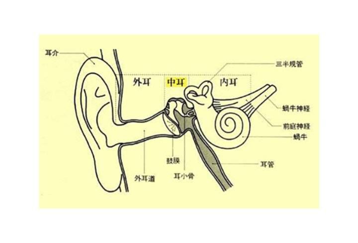面瘫|9岁儿童患面瘫,病因竟在耳朵!不要轻视你的“中耳炎”
