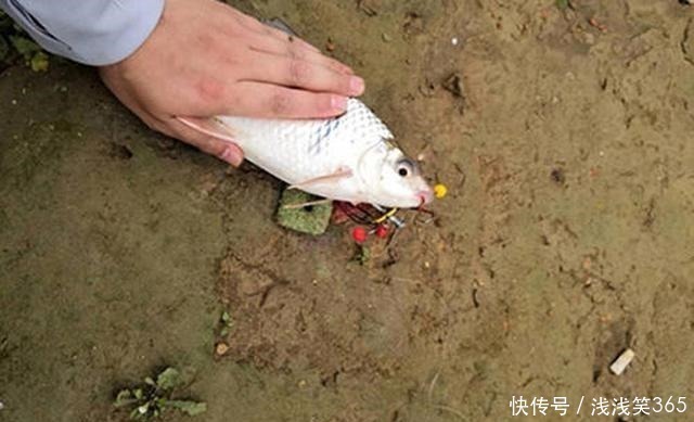真知|钓鱼时到底该不该露钩别争论了，实践才能出真知