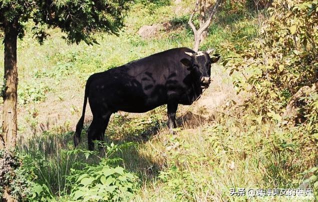 宋代有名的77天宰相,被罢免后写下这首28字诗,贤相风骨名不虚传