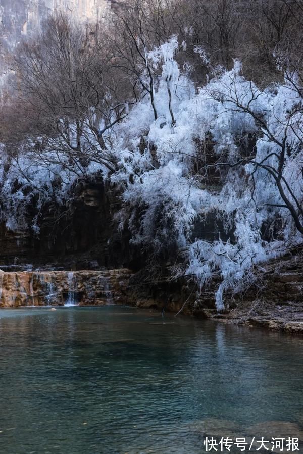 组图|云台山冰挂景观初现，先睹为快 | 冰挂