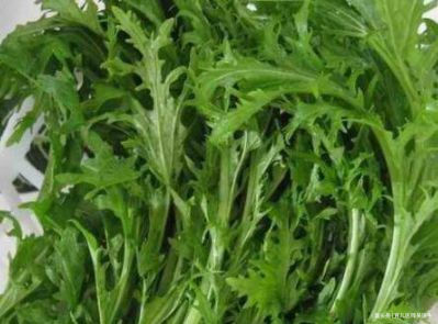 食物|对身体很好的食物，补充营养、体质变好，早吃早身体好