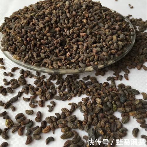 脾丸|一味中药这样用,调理头晕耳鸣,遗精便秘等症附常用中成药