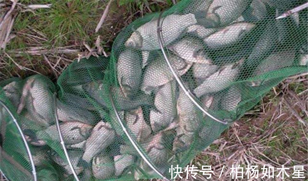 冬钓鲫鱼，农村野河是主战场，在这4种位置下竿，钓大板鲫更容易