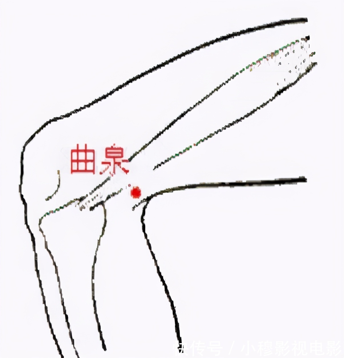 疏肝理气|肝开始变硬,身体会有4个表现,一个没有,肝脏还算健康