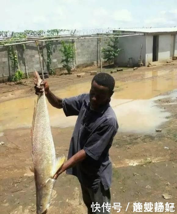 我在非洲的打工生活,无聊的日子里钓鱼是唯一乐趣