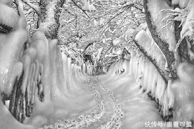 一支铅笔将雪画活的格鲁吉亚“雪魔”