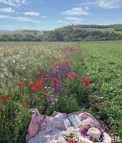 陆游&15首最美宋词情诗余生只愿与君度,情深不负共白头