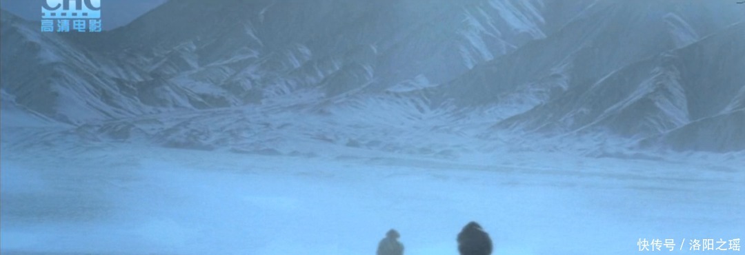 揭露|16年了，这部揭露“剥皮”生意的电影还是不敢看第二遍