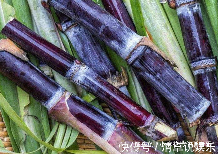 榴莲|想要减肥的女生，最好不要吃5种水果，不然你的水蛇腰变成水桶腰