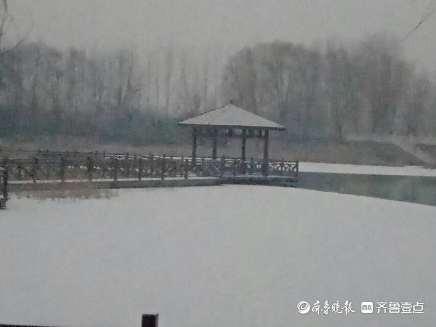 情报员|山东多地雪花到货，情报员用镜头记录清晨雪景，注意添衣保暖哦