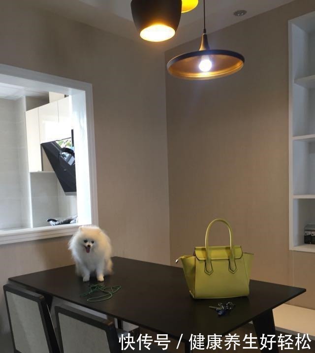 老公|为孩子，老公坚持在厨房砸了个洞，完工才知机智，太实用了！晒晒！