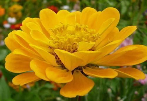 贵人|未来三个月,4属相财运顺畅,贵人相助,业绩节节攀升,生活幸福