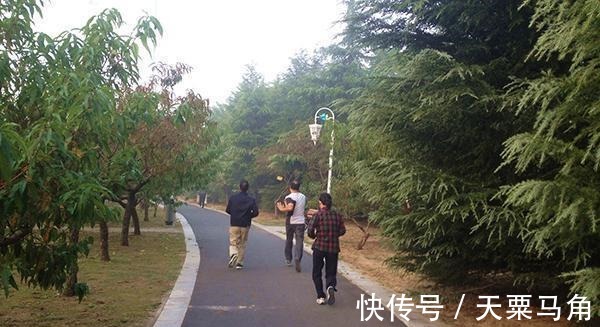 人体健康|约120万人调查发现:最佳的运动并非跑步和游泳,而是此项运动