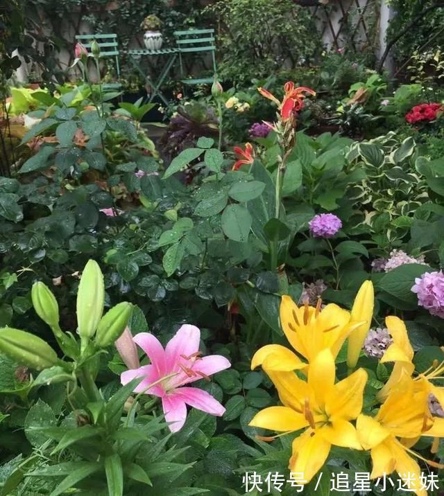 有了30平方的小院,能将日子过成了诗简单而精致,优雅而从容