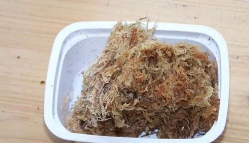 养在家里的木本类观赏盆栽,我用这种方法基本都能繁殖成功