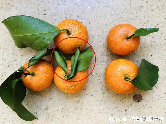 买砂糖橘时,挑有叶子还是没叶子的?牢记“4不买”,别再随便买