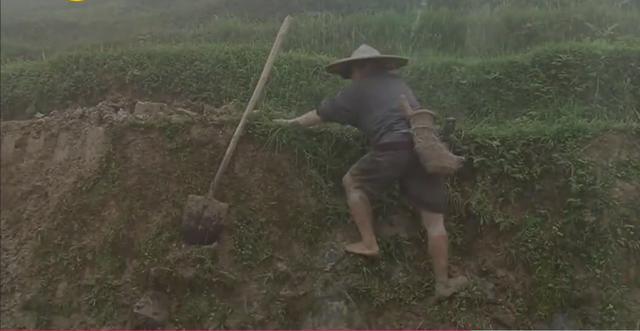 浓妆|《变形计》“神仙妹妹”梁小友高二辍学后成网红，浓妆直播惹众议