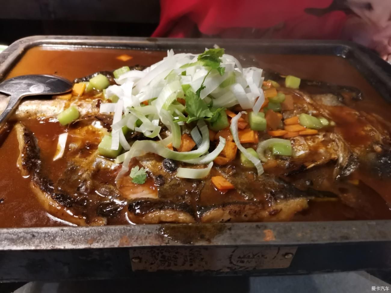 一万年前吃烤鱼一万年后吃探鱼