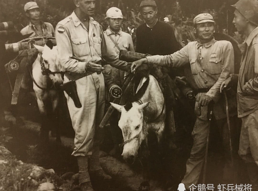 自杀|远征军腾冲血战有多惨烈?远征军死伤万人,最后日军军官集体自杀