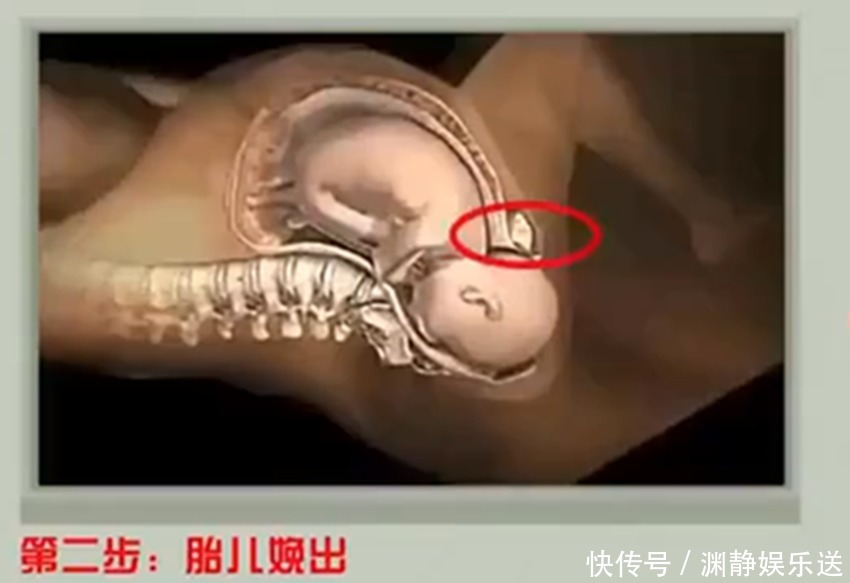 分娩|产妇分娩时胎儿在干嘛看完眼眶湿润了，真的不止你一个人在努力