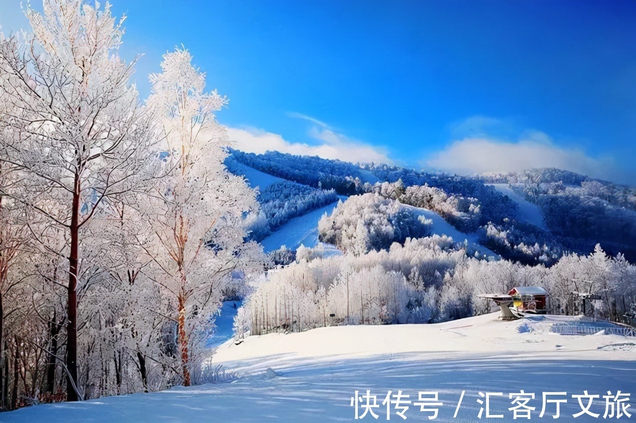 哈尔滨|一到冬天，这些东北独有的景色，就美到了天际！