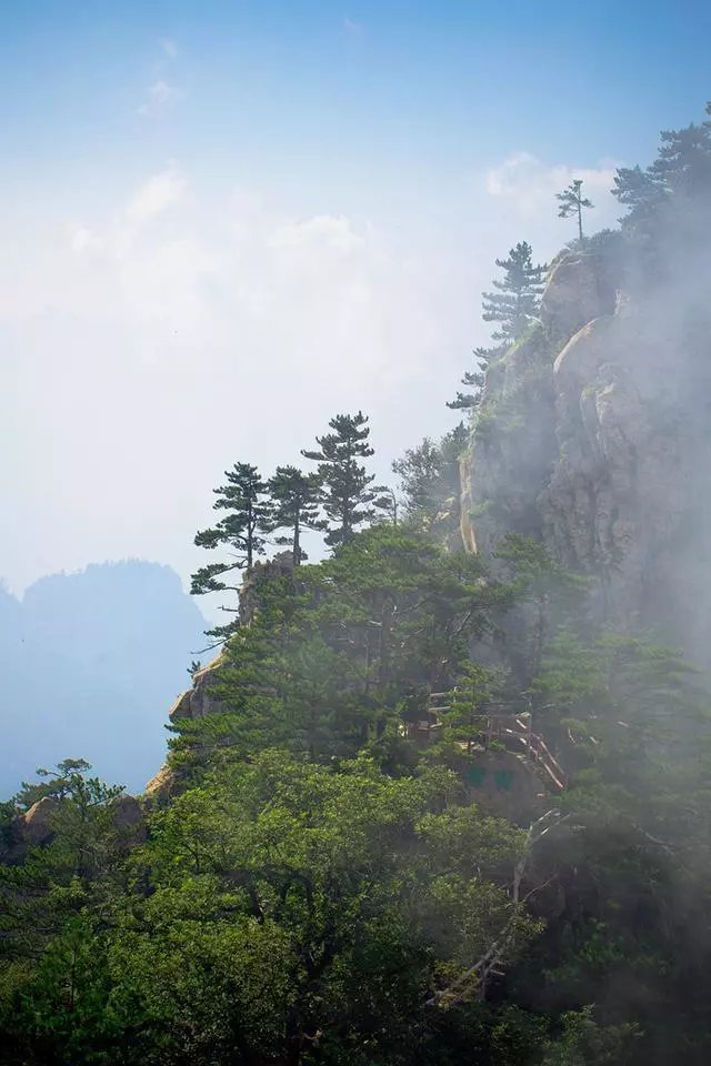 西峡|这个避暑胜地藏不住了！不仅凉爽刺激，自然风景更是美的举世无双