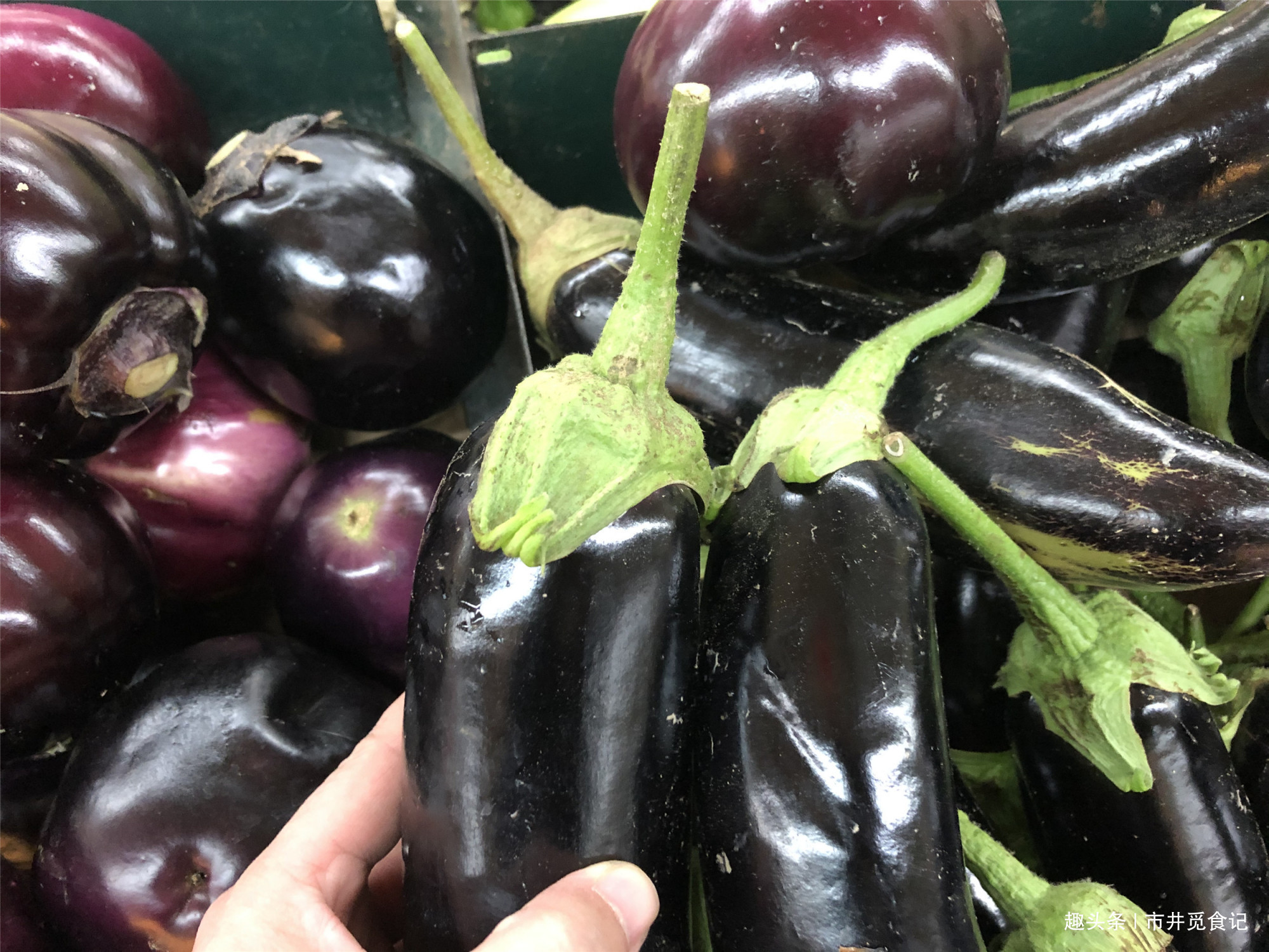 茄子|买茄子时，记住2个小窍门，轻松挑到嫩茄子，新鲜水嫩没有籽