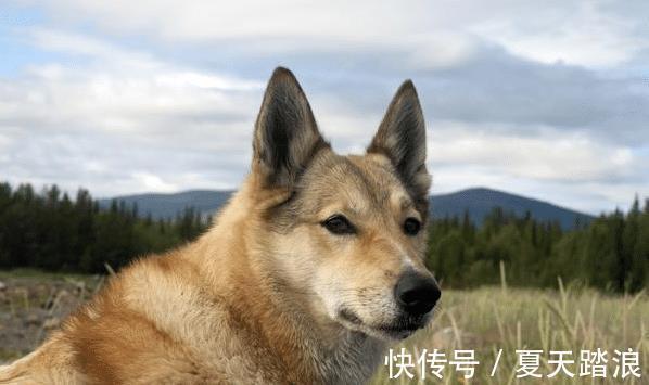 好运|8月2号起，好运难挡，3生肖苦尽甘来，扭转乾坤，事业再高升