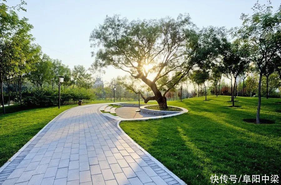临泉壹号院 公园里|中梁控股 | 滨河景观公园
