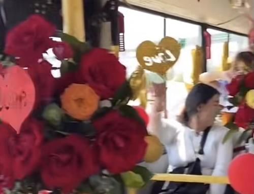 云南一对新人租公交车当婚车，引起众多网友称赞：既个性又环保！