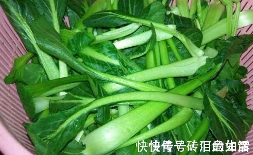炒青菜|忠告炒青菜不能放此物,吃了就是没病找病,现在知道还不晚!