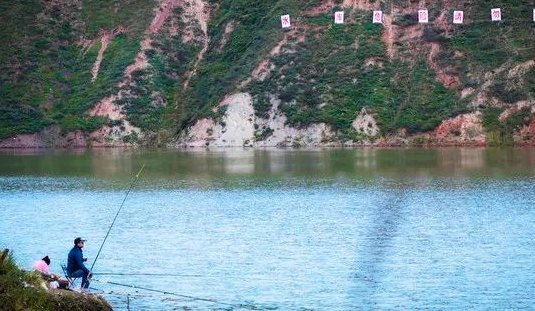 麝香|野生水域如何钓鲫鱼，掌握这些你就知道怎么钓了