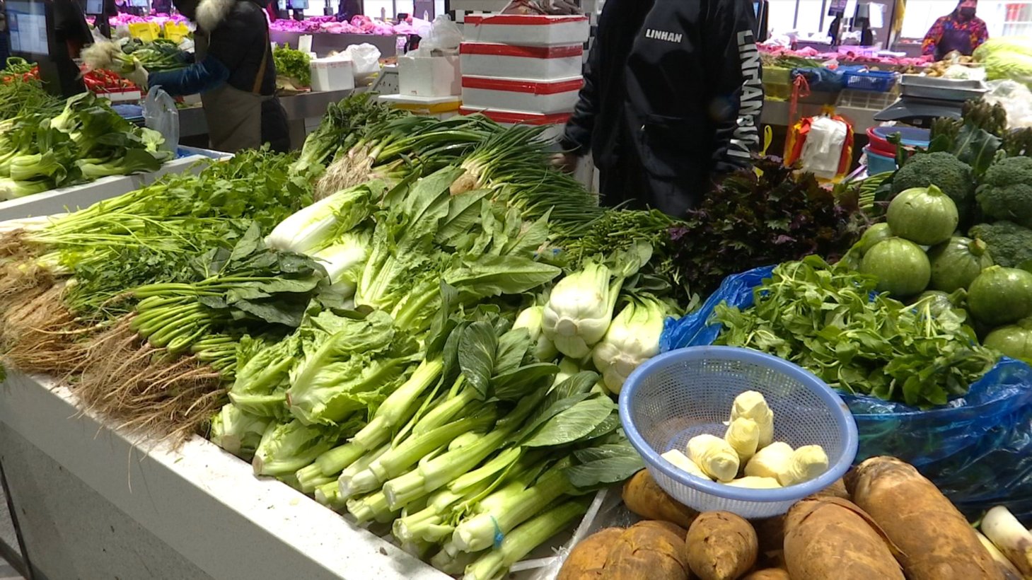 菜场|“春菜”鲜为贵