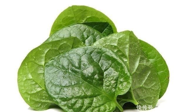 搭配|洋葱和它是“黄金搭配”,防癌清血管,还能改善便秘!千万别错过