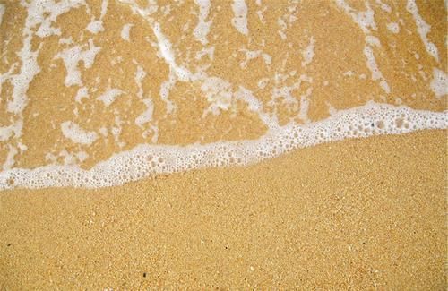  排尿量|黄芪的好搭档或是它，经常用来泡水喝，也许有助呵护肾脏健康