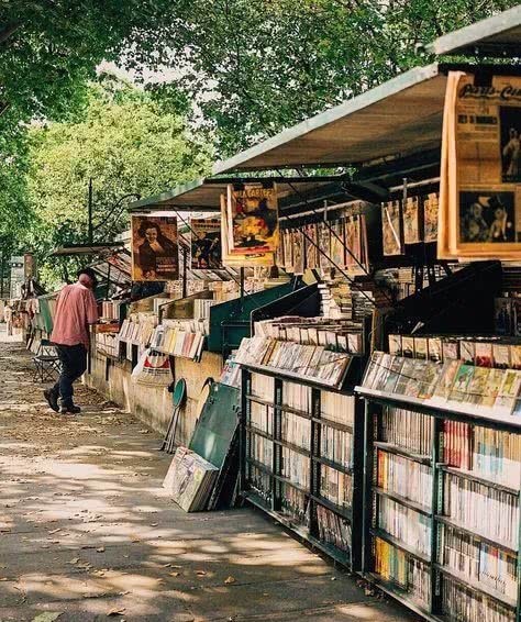 书箱|绿皮小书箱这次真的要消失了?!塞纳河将失去她的灵魂!