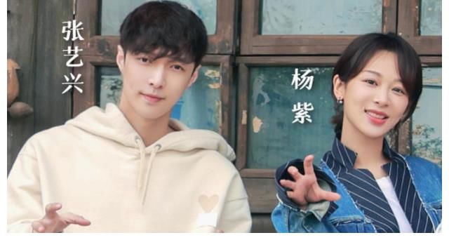 成毅|“小猴紫”资源好到炸，又一档常驻综艺曝光，杨紫转综艺咖了吗？